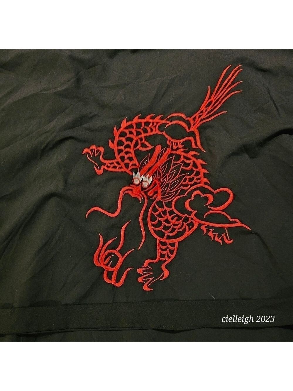 💥4 for $25💥 Dragon Embroidered Robe - Picture 4 of 7